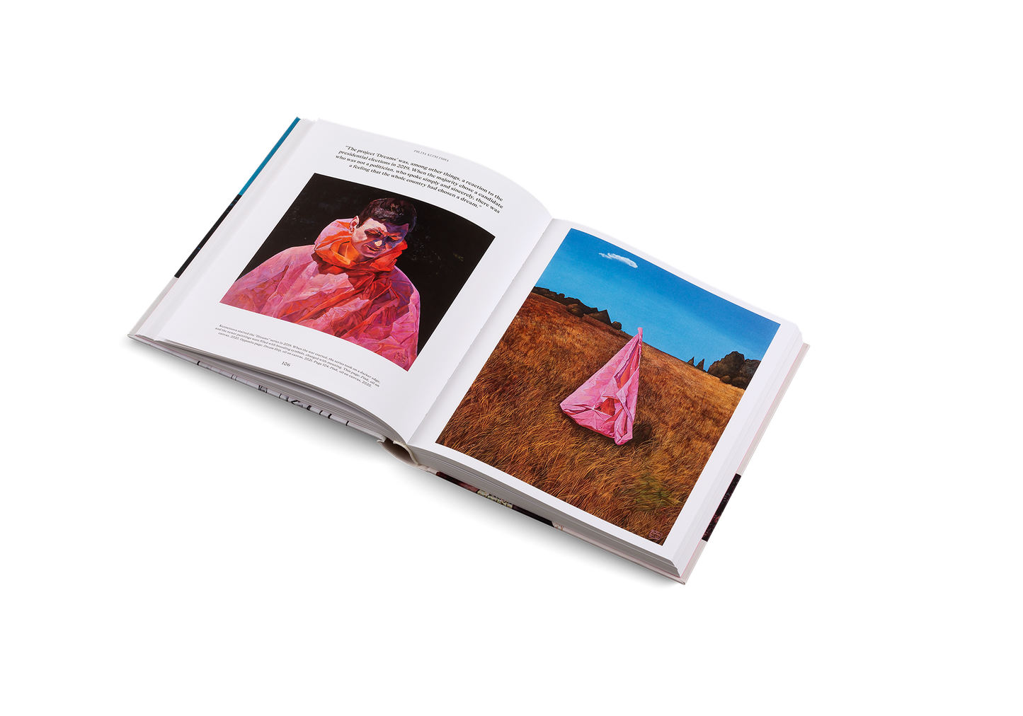 Ukraine Rising Book