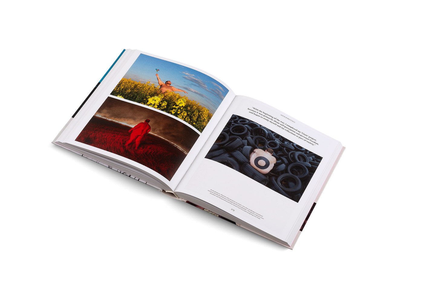 Ukraine Rising Book