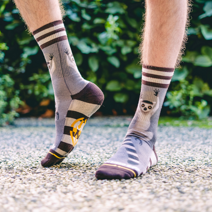 San Diego Zoo Ring-Tailed Lemur Youth Crew Socks