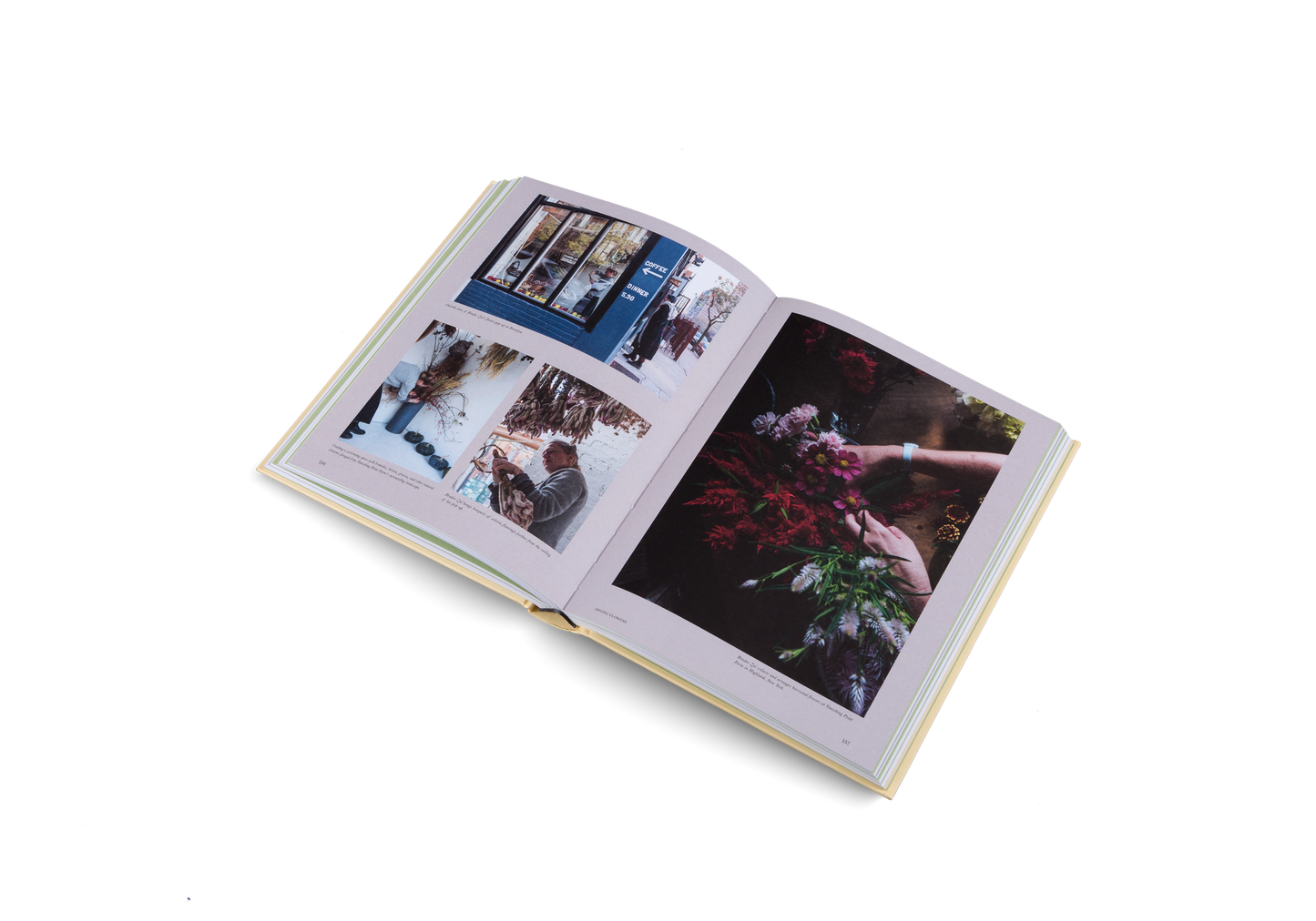 Urban Farmers Book