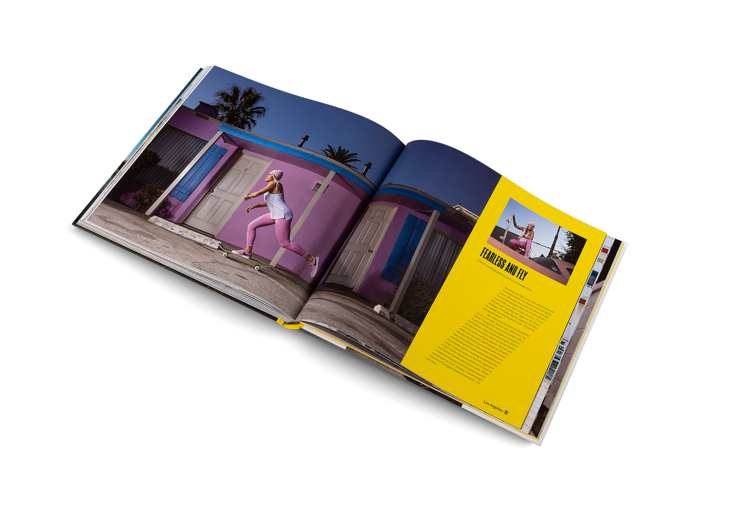 Urban Playgrounds Book