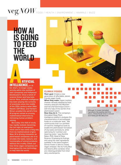 VegNews - Summer 2024: 20 Summer Recipes, Korean BBQ Nachos, Taiwanese Popcorn Tofu, A To Z Guide To Vegan Ice Cream, AI & Vegan Food, Vegan Weddings, Zero-Waste Skincare, New Cookbooks & More!