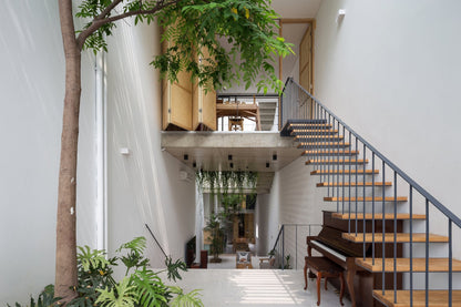 Vertical Living Book