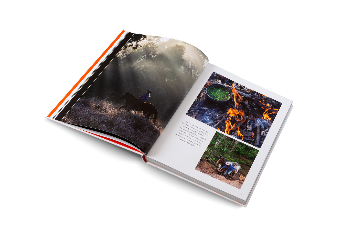 Voyages Book