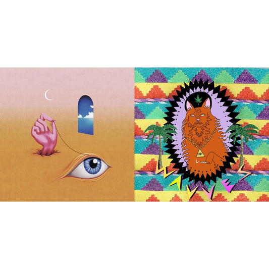 Wavves - King Of The Beach & Hideaway - CD Bundle
