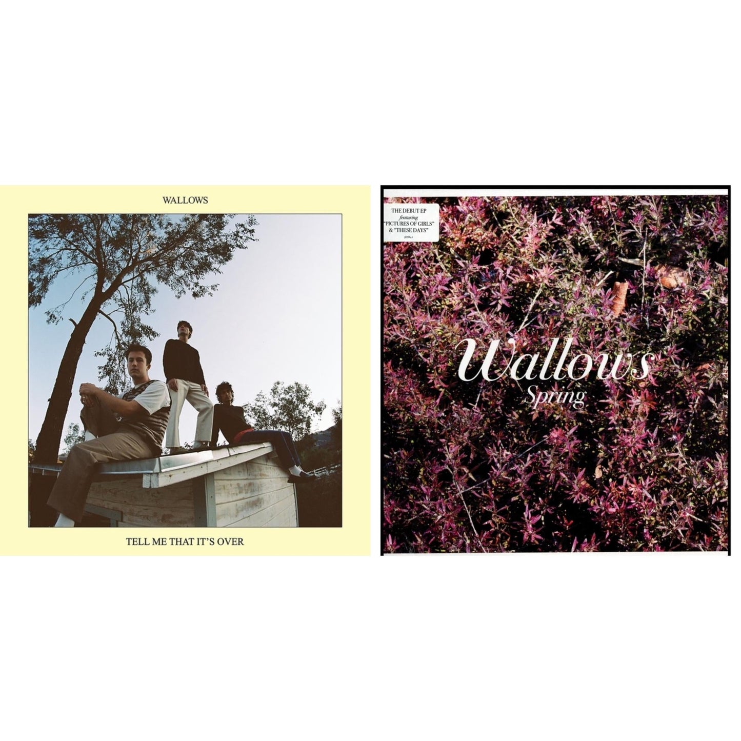 Wallows - Tell Me That It's Over (Yellow LP Vinyl) & Spring Ep (X) (Pink & Green LP Vinyl)