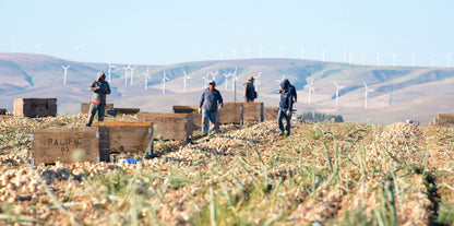 A Year in the Fields: The State of the Washington Farmer Book