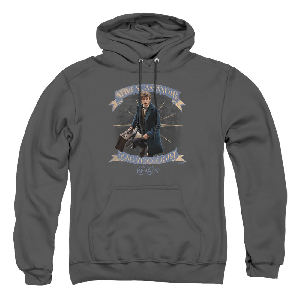 Fantastic Beasts Newt Scamander Mens Hoodie Charcoal Officially Licensed