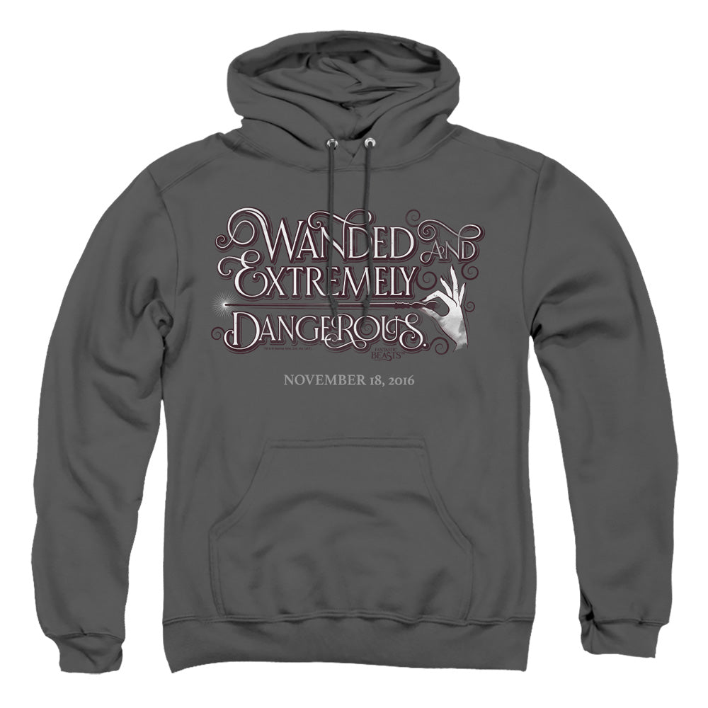 Fantastic Beasts Wanded Mens Hoodie Charcoal Officially Licensed