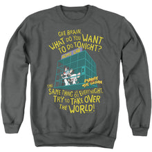 Load image into Gallery viewer, Pinky And The Brain The World Mens Crewneck Sweatshirt Charcoal