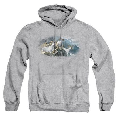 Wildlife High Trails Dall Sheep Mens Hoodie Athletic Heather