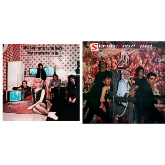 Wayne & The Electric Chairs County - Things Your Mother Never Told You & Storm The Gates Of Heaven - LP Vinyl Bundle