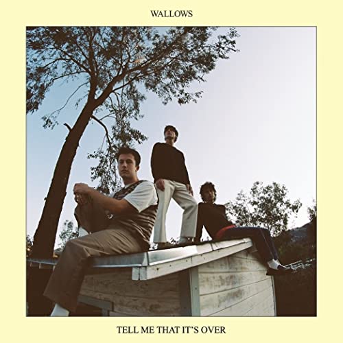 Wallows - Tell Me That It's Over Vinyl Record