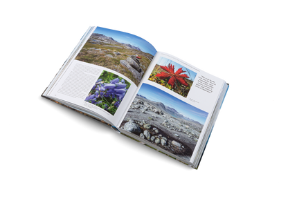 Wanderlust Europe Book