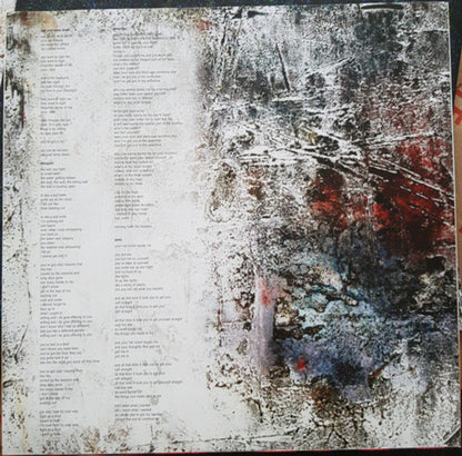 Warpaint – The Fool (2-LP Vinyl) Vinyl Record