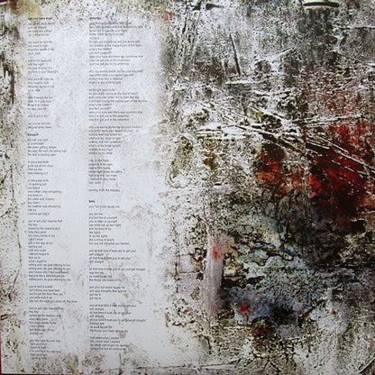 Warpaint – The Fool (2-LP Vinyl) Vinyl Record