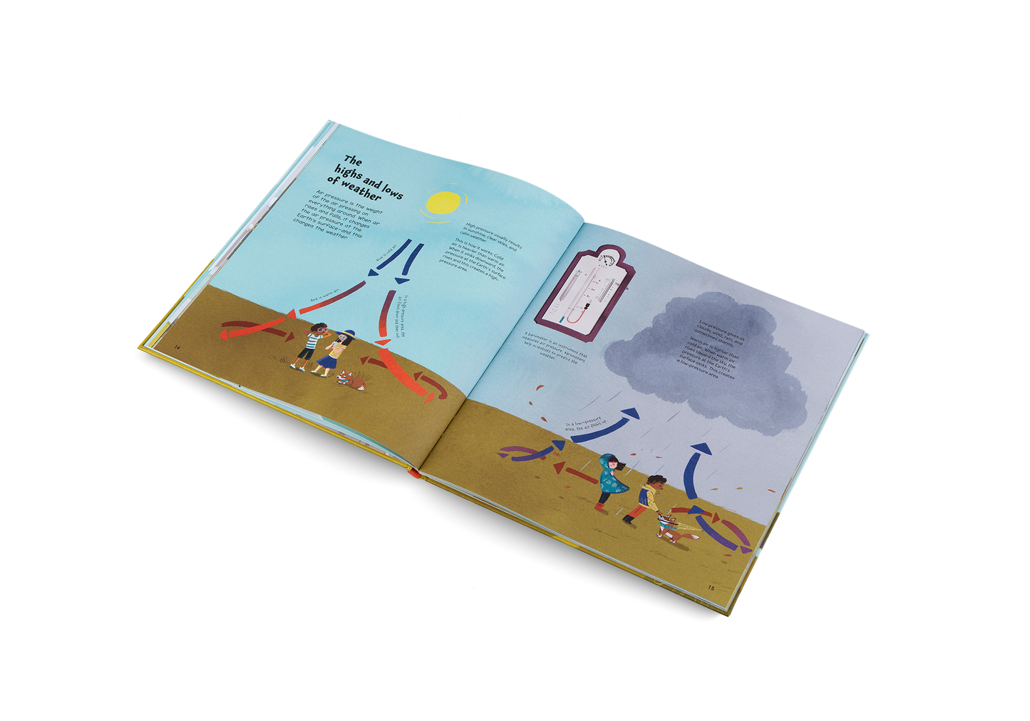 Whatever the Weather Book