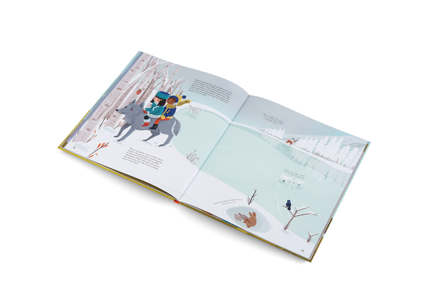 Whatever the Weather Book