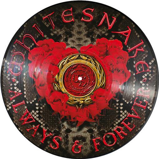 Always & Forever Vinyl Record