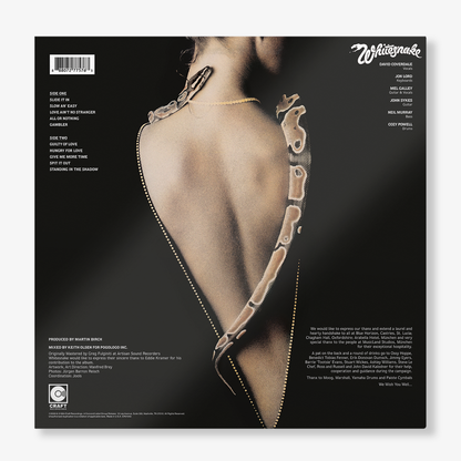 Slide It in (LP) Vinyl Record