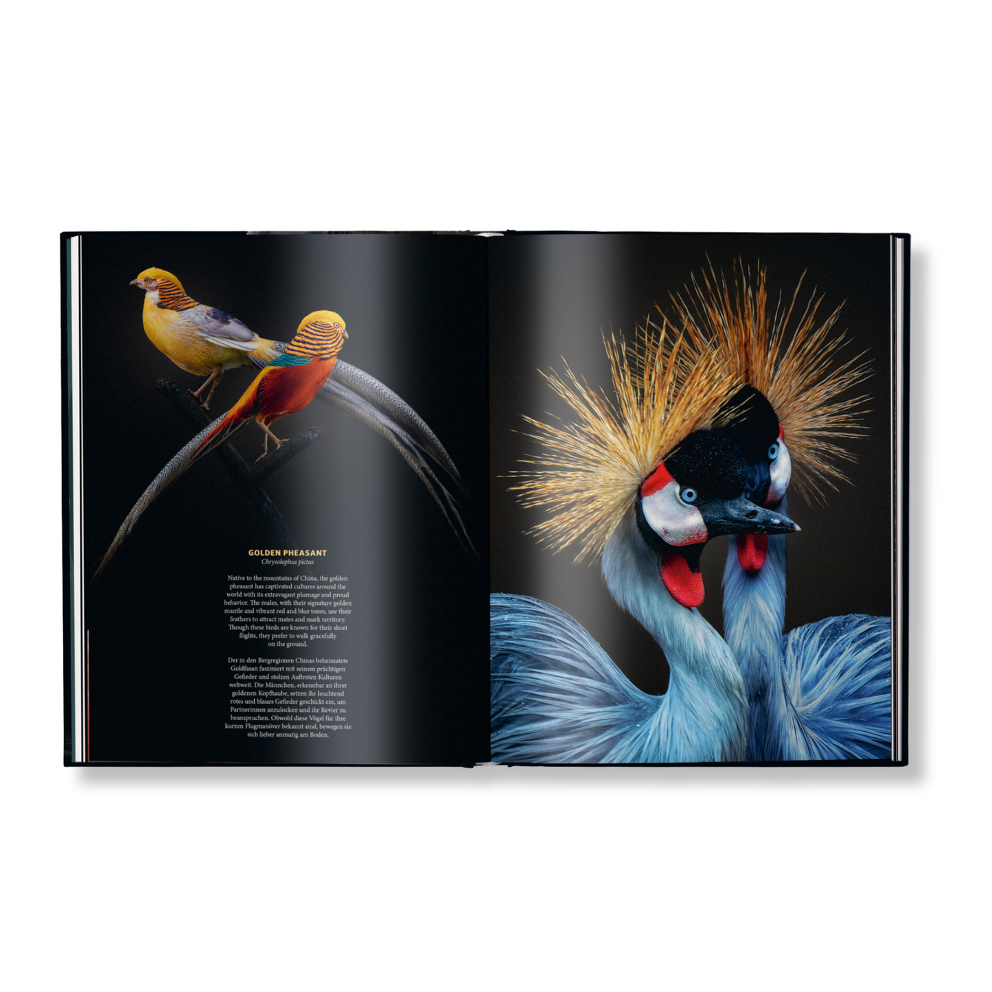 WildLOVE Book