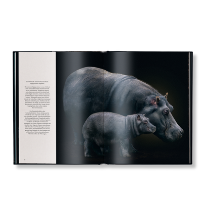 WildLOVE Book