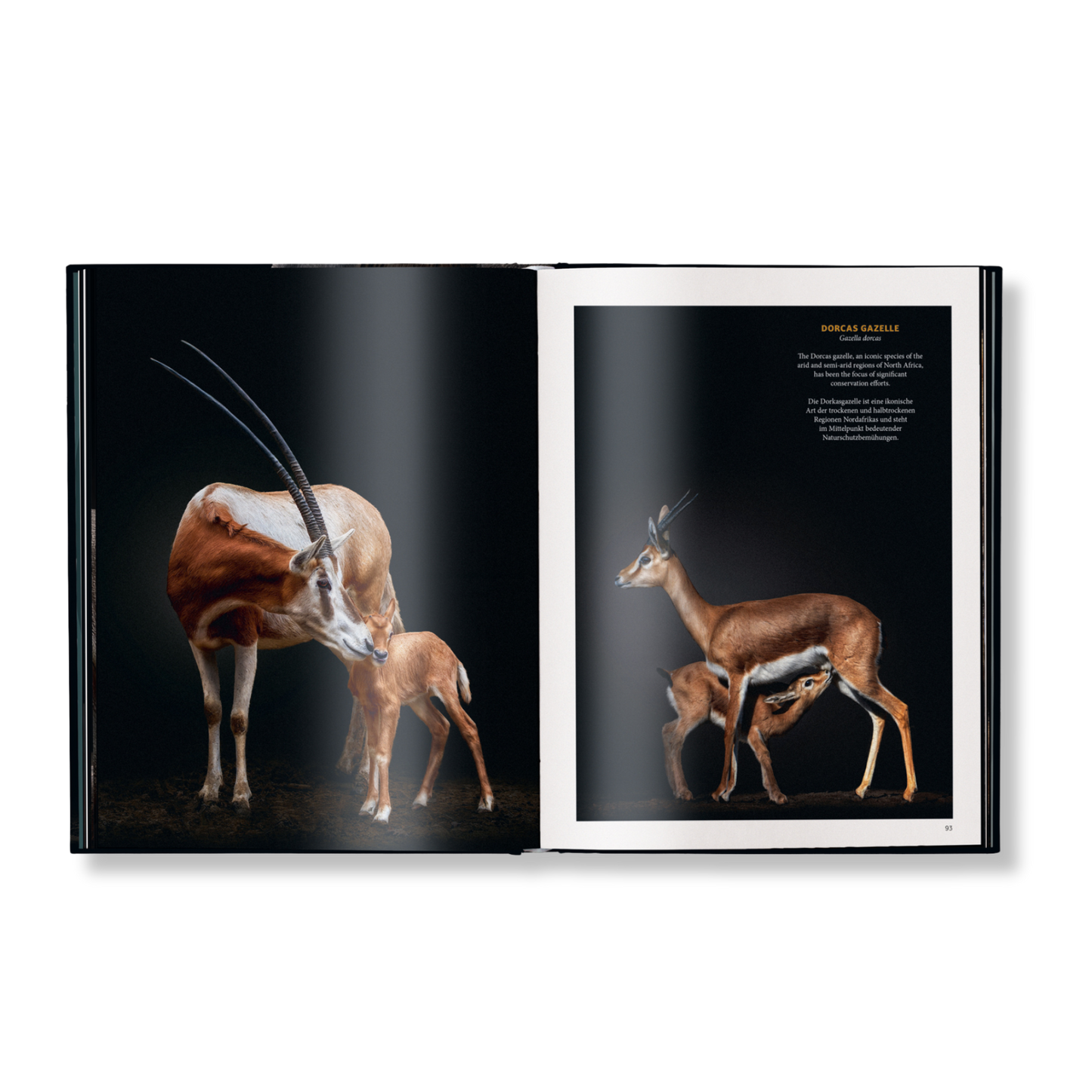 WildLOVE Book