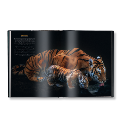 WildLOVE Book
