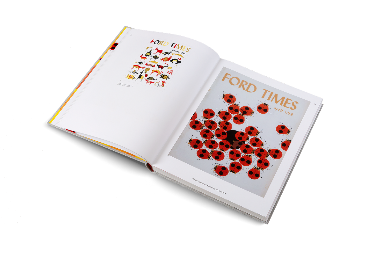 Wild Life Book