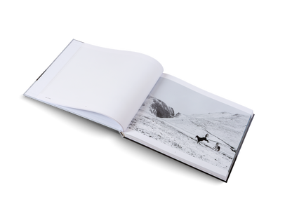 Winterland Book