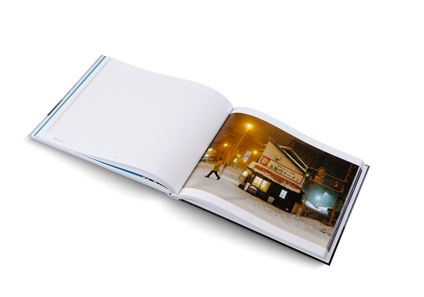 Winterland Book
