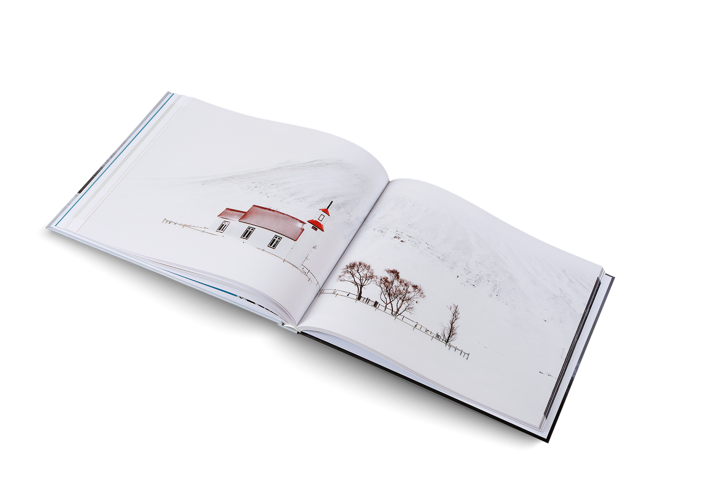 Winterland Book
