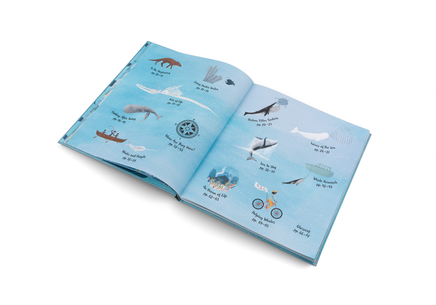 The World of Whales Book