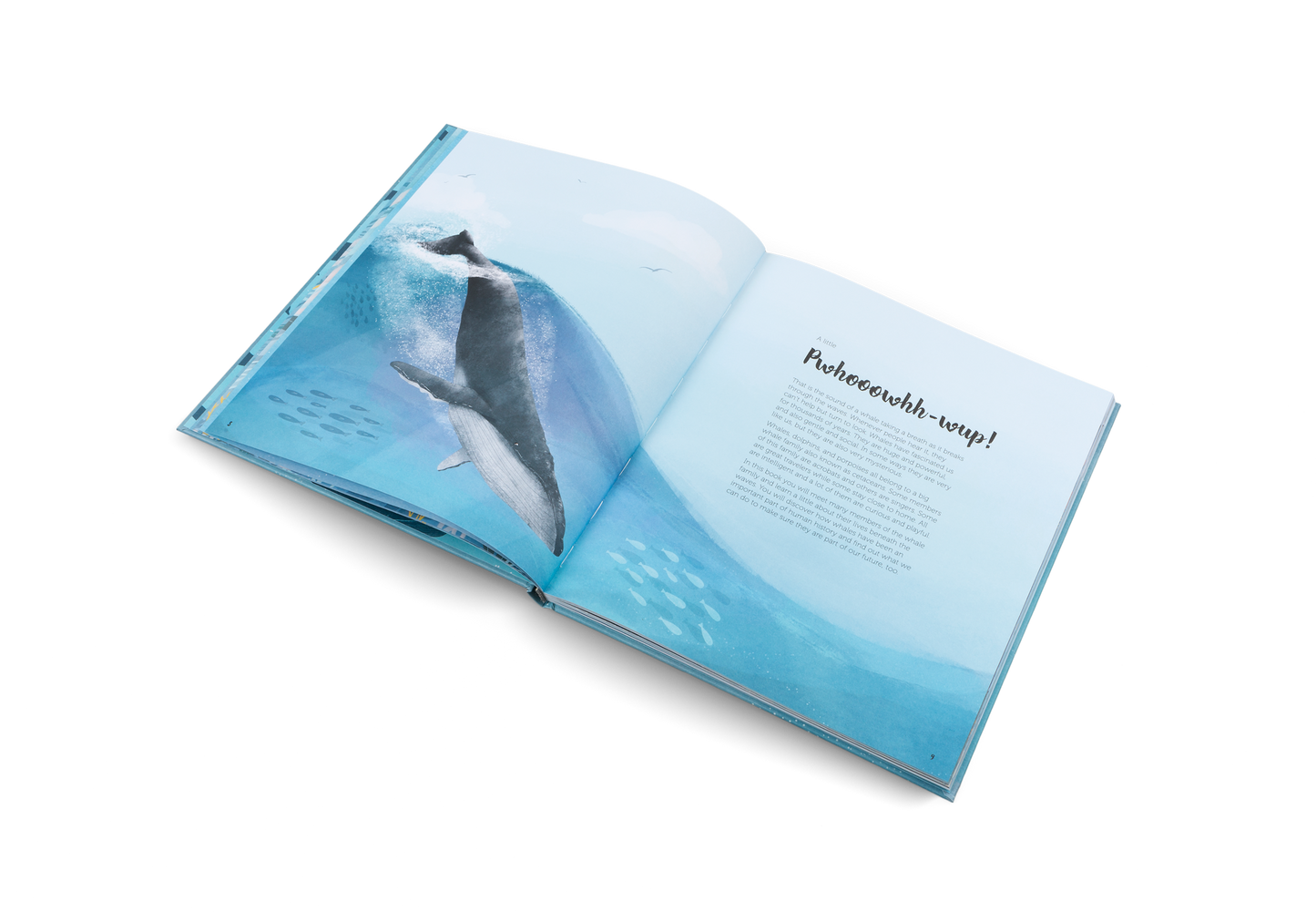 The World of Whales Book