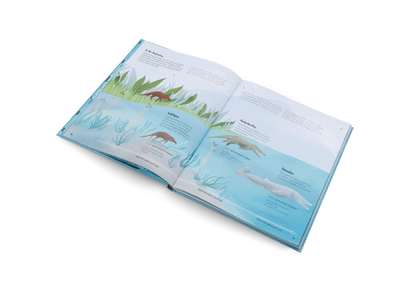 The World of Whales Book