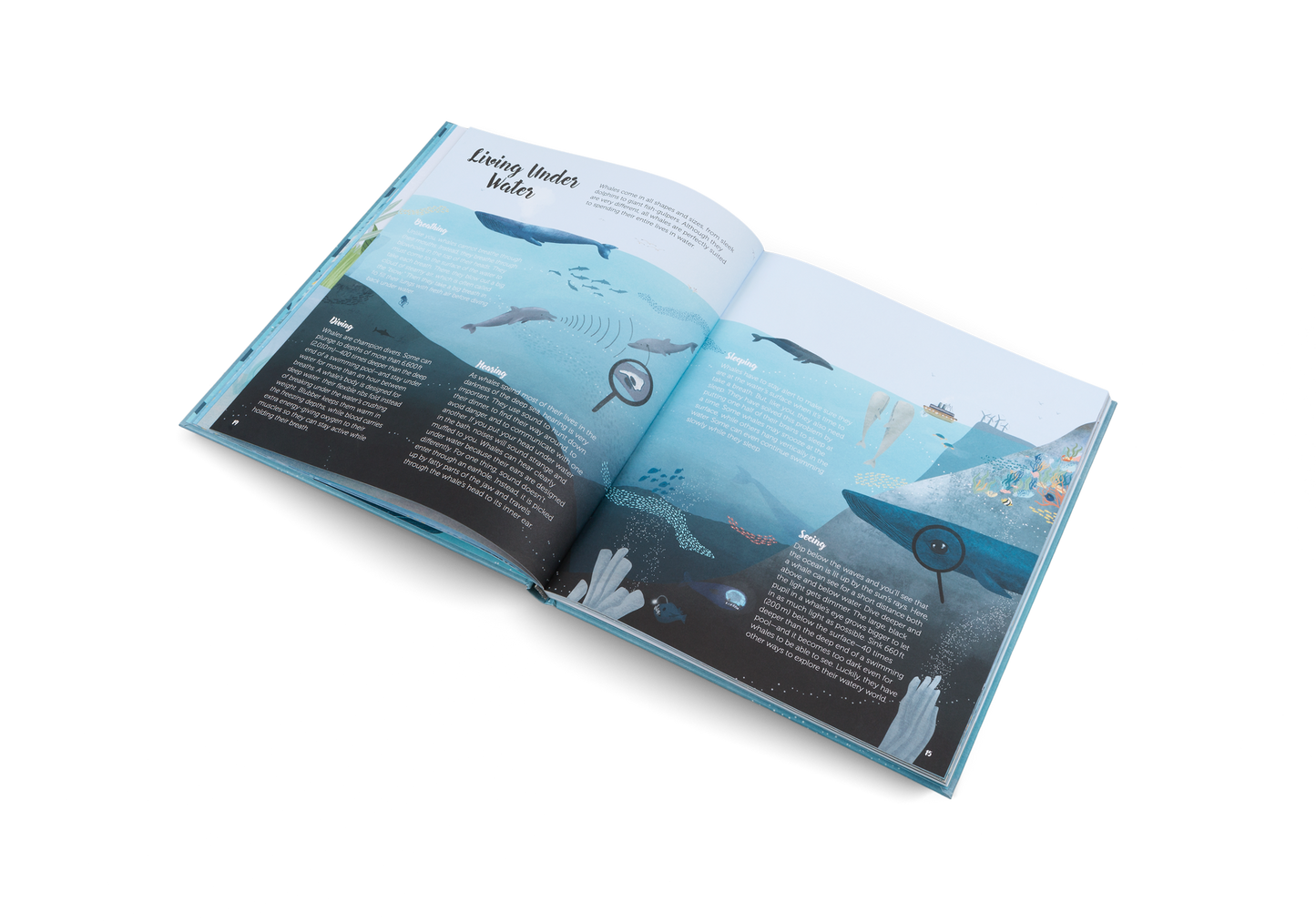 The World of Whales Book
