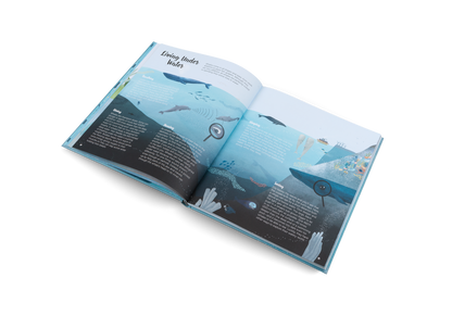 The World of Whales Book