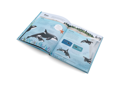 The World of Whales Book