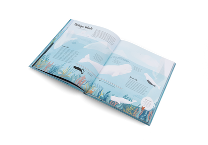 The World of Whales Book