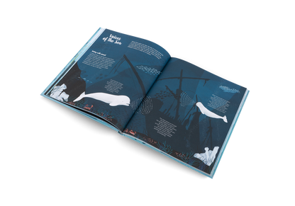 The World of Whales Book