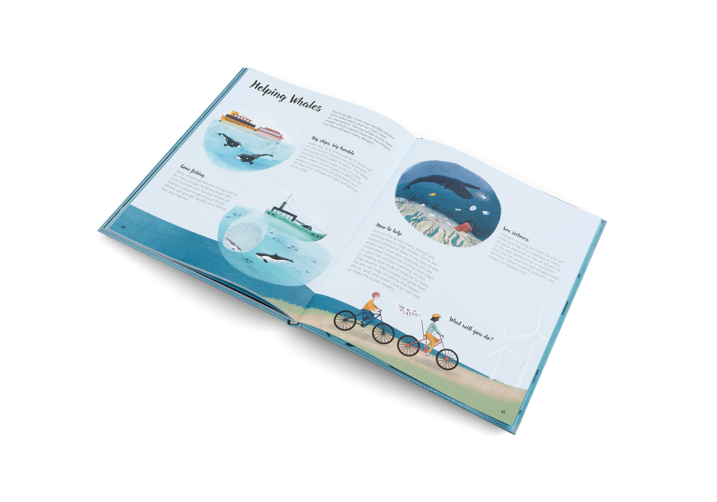 The World of Whales Book