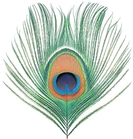 Apple Venus Vol. 1 (200 Gram Vinyl) [Import] [Vinyl] Vinyl Record