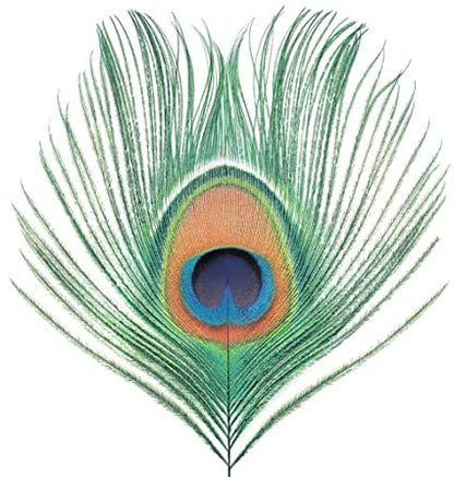 Apple Venus Vol. 1 (200 Gram Vinyl) [Import] [Vinyl] Vinyl Record