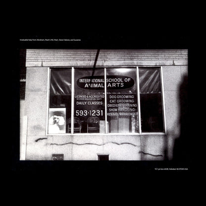 Yo La Tengo – This Stupid World (2-LP Blue Vinyl) Vinyl Record