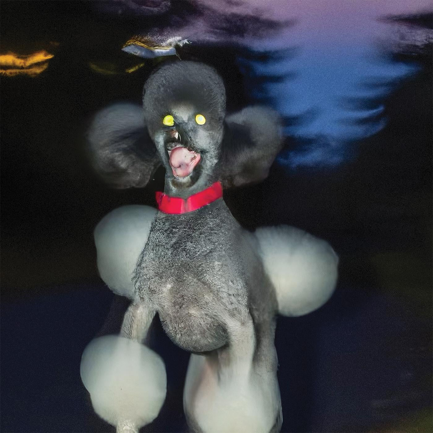 A Dog A Deer A Seal Vinyl Record
