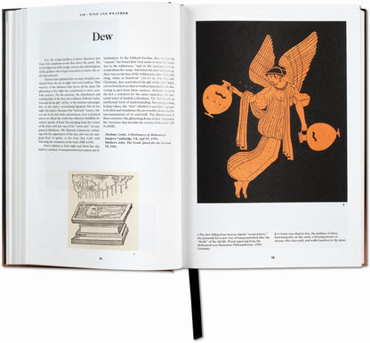 The Book of Symbols. Reflections on Archetypal Images (English) Book