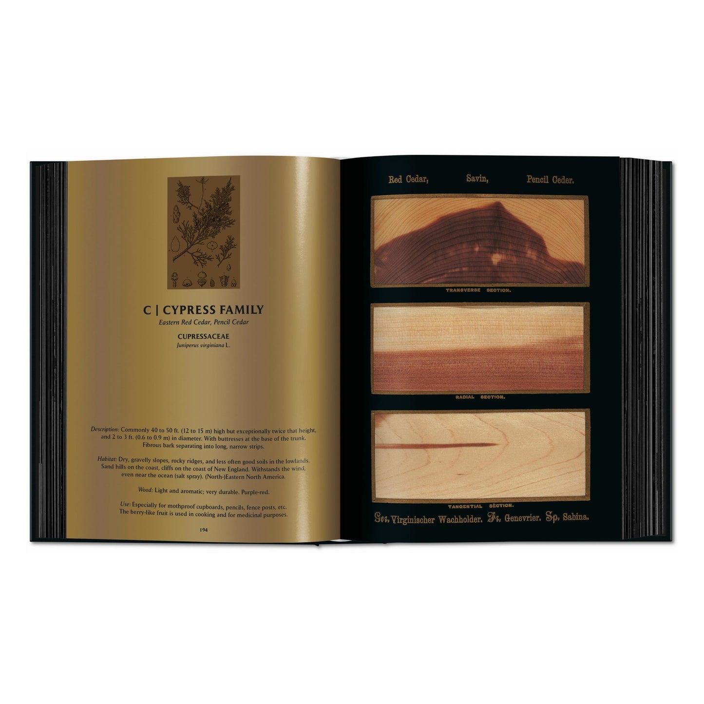 Romeyn B. Hough. The Woodbook. The Complete Plates (English) Book
