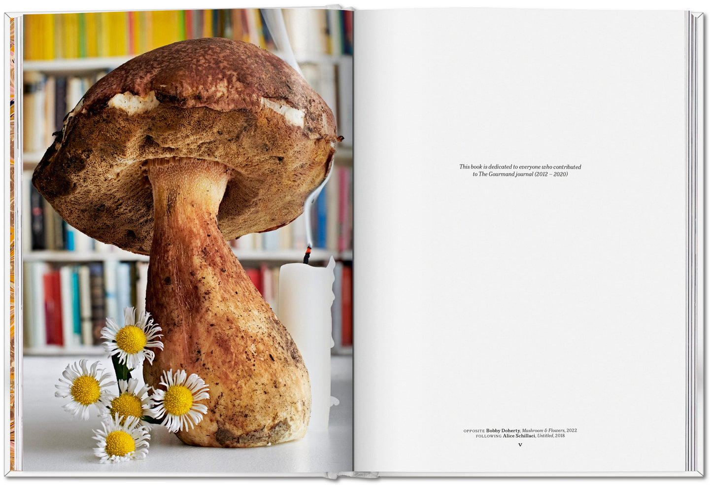 The Gourmand's Mushroom. A Collection of Stories and Recipes (English) Book