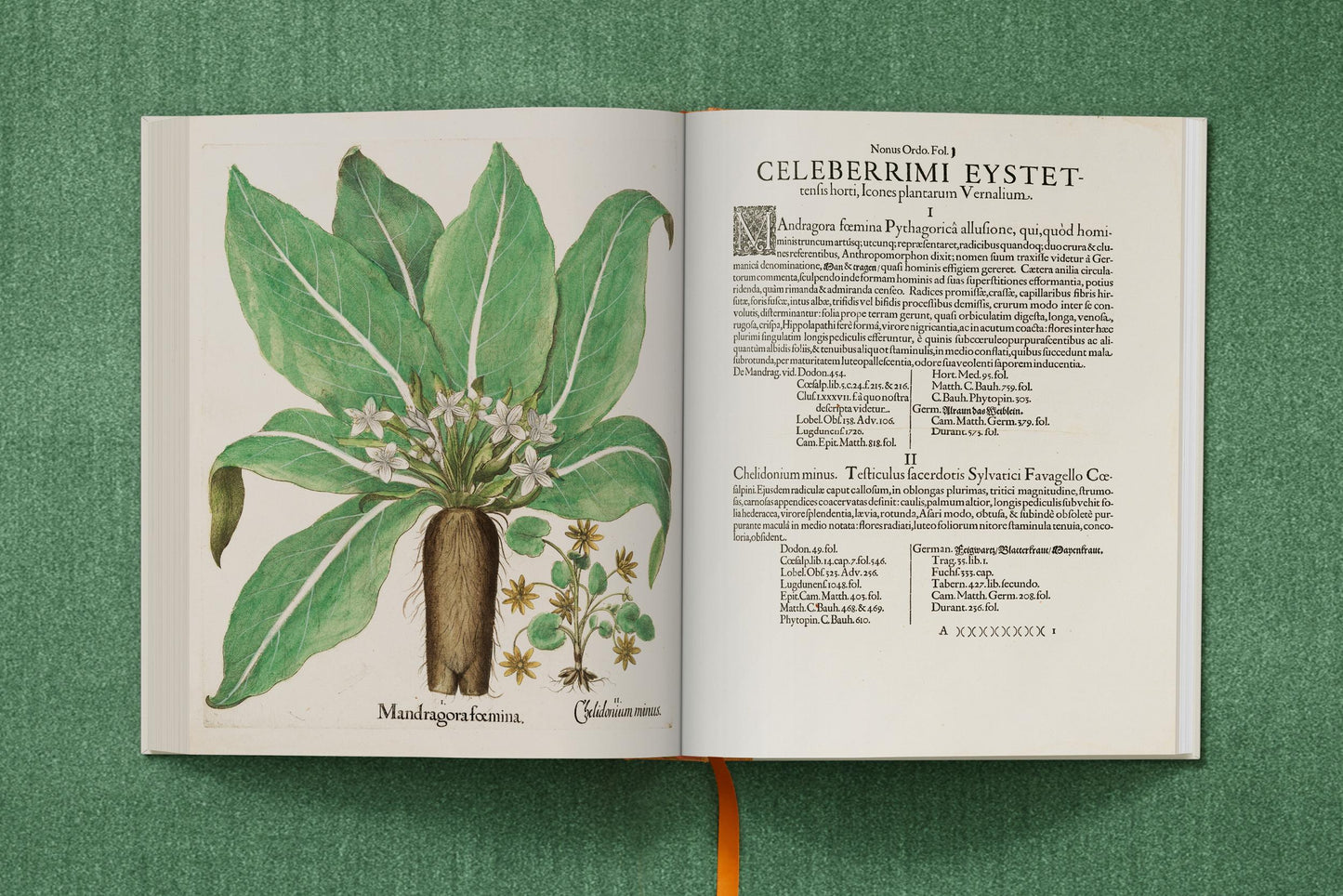 Basilius Besler. The Garden at Eichstätt (German, French, English) (FFE) Book