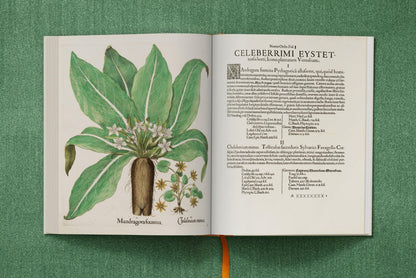 Basilius Besler. The Garden at Eichstätt (German, French, English) (FFE) Book